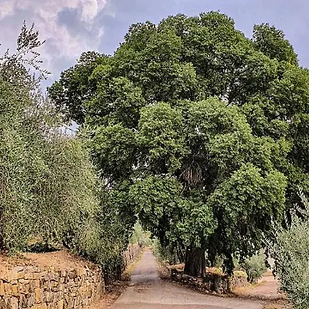 펜션 Charming House In Fiesole, Near Florence With Garden Compiobbi